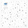 XMAS NAPKIN 20PK SILVER STARDUST