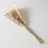 BOLTZE Boltze Velvet Grass Branch Assorted