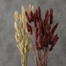 BOLTZE Boltze Velvet Grass Branch Assorted