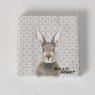 BOLTZE Boltze Rabbit Grey/Green Napkin 20 Pack Assorted