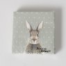 BOLTZE Boltze Rabbit Grey/Green Napkin 20 Pack Assorted