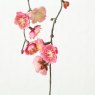 Boltze Decorative Cherry Blossom Branch 130cm