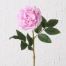 Boltze Decorative Peony Flower Stem 17cm