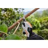 Stihl Stihl ASA20 Lopping Shears With Battery