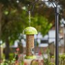 SMARTGAR Smart Garden Flamboya Seed Feeder