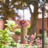 SMARTGAR Smart Garden Flamboya Seed Feeder