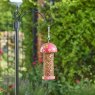 SMARTGAR Smart Garden Flamboya Peanut Feeder