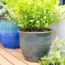 Apta Neptune Bell Plant Pot