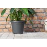 STEWART Stewart Oasis Flower Pot