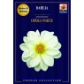 BULB DAHLIA OPERA WHITE SEMI DBL