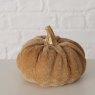 BOLTZE Boltze Patches Pumpkin Assorted