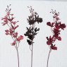 BOLTZE Boltze Decorative Orchid Branch Assorted