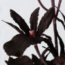 BOLTZE Boltze Decorative Orchid Branch Assorted