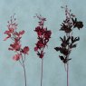 BOLTZE Boltze Decorative Orchid Branch Assorted