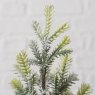 BOLTZE Boltze Tanne Fir Christmas Tree