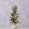 BOLTZE Boltze Tanne Fir Christmas Tree