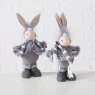 DONKEY DUKE 28CM GREY ASST