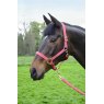 HY Equestrian HY Equestrian Rose Gold Head Collar & Lead