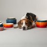 Scruffs Scruffs Ombre Pet Bowl