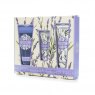 Somerset Toiletry Co AAA Bath & Body Collection Set