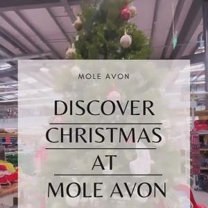 Christmas has started to arrive at Mole Avon 🎄